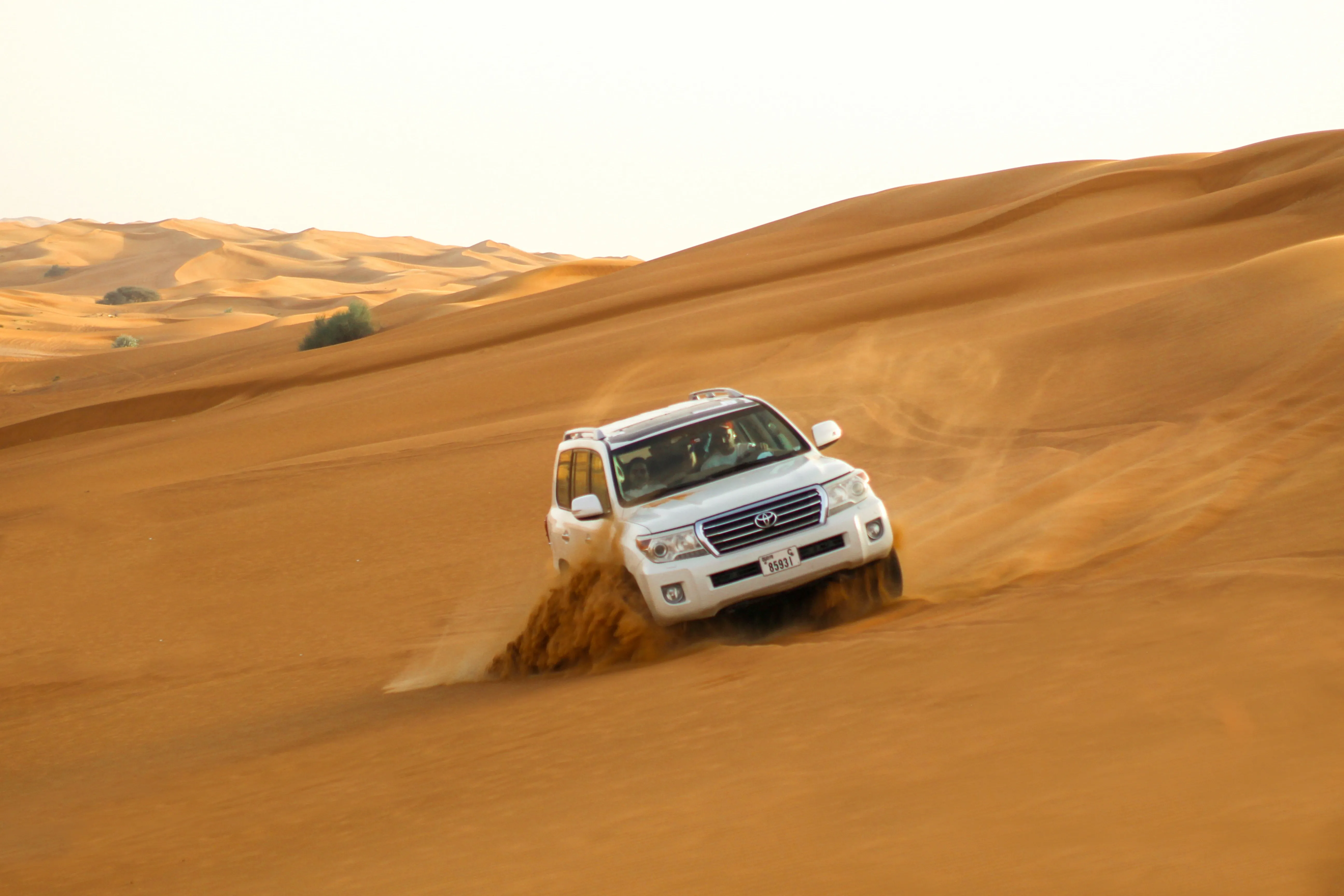 Desert Safari Adventure with BBQ Dinner