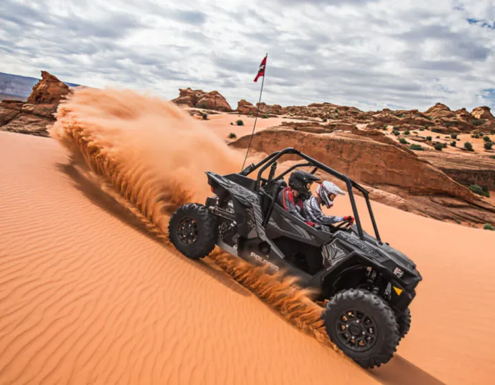 Dubai: 3* Red Dunes ATV, Sandsurf, Camels, Horses, Buffet & Show