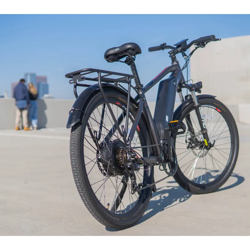 DWMeigi Pegasus Fat Tire Electric Bike, 48V/16Ah, 750W