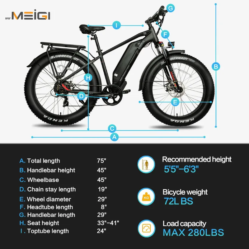 DWMeigi Pegasus Fat Tire Electric Bike, 48V/16Ah, 750W