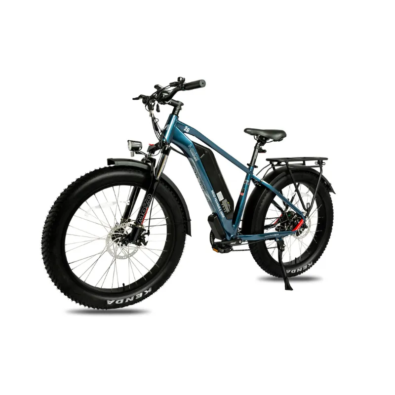 DWMeigi Pegasus Fat Tire Electric Bike, 48V/16Ah, 750W