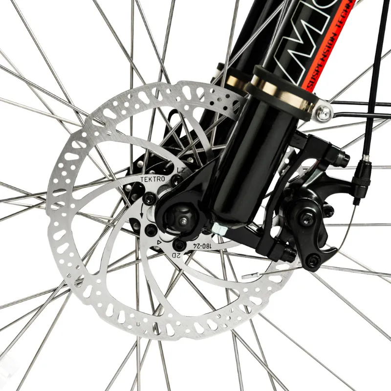 DWMeigi Pegasus Fat Tire Electric Bike, 48V/16Ah, 750W