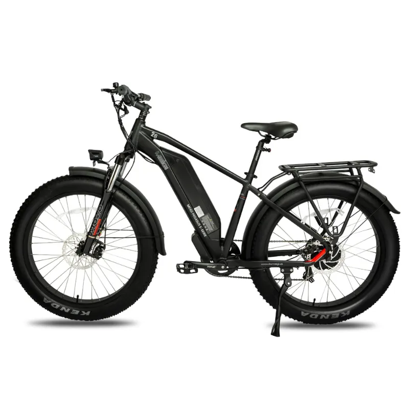 DWMeigi Pegasus Fat Tire Electric Bike, 48V/16Ah, 750W