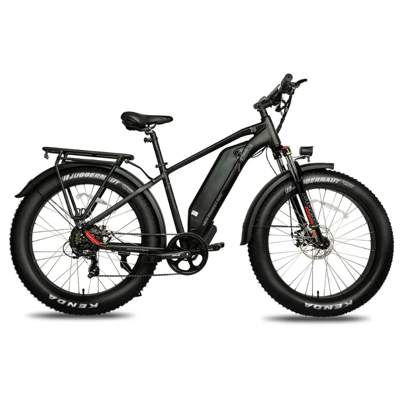 DWMeigi Pegasus Fat Tire Electric Bike, 48V/16Ah, 750W