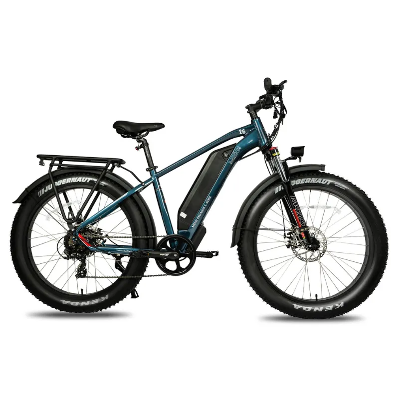 DWMeigi Pegasus Fat Tire Electric Bike, 48V/16Ah, 750W