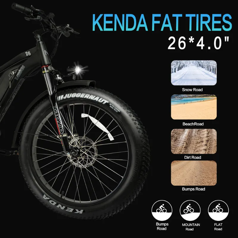 DWMeigi Pegasus Fat Tire Electric Bike, 48V/16Ah, 750W
