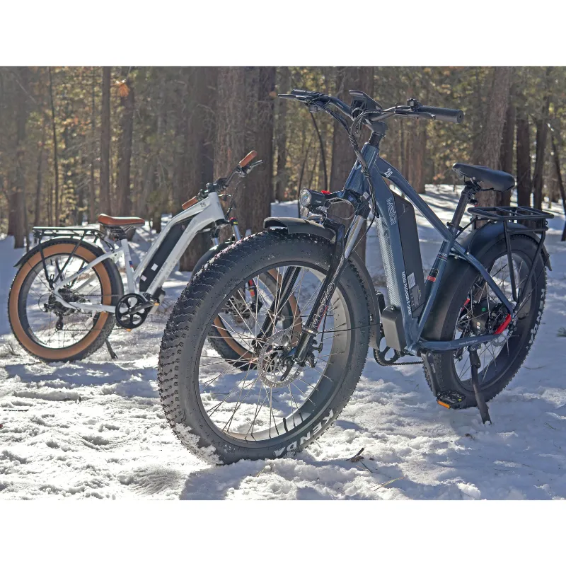 DWMeigi Pegasus Fat Tire Electric Bike, 48V/16Ah, 750W