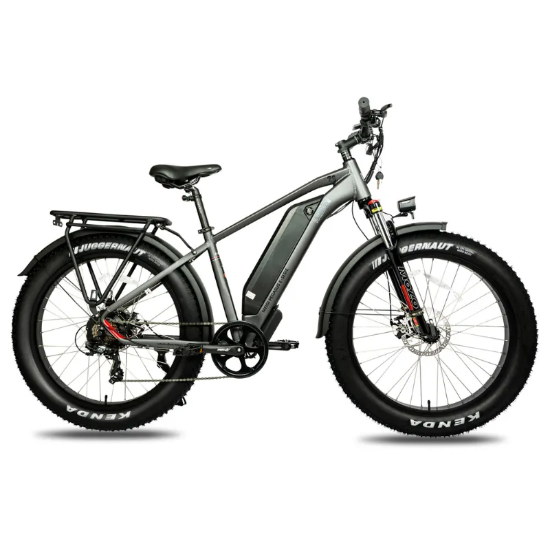 DWMeigi Pegasus Fat Tire Electric Bike, 48V/16Ah, 750W
