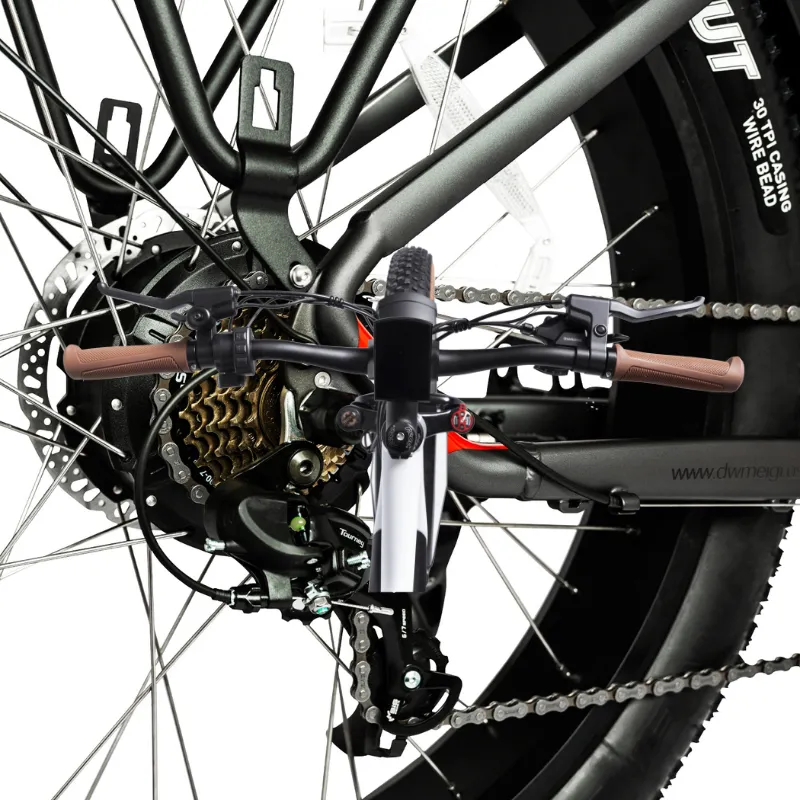 DWMeigi Pegasus Fat Tire Electric Bike, 48V/16Ah, 750W