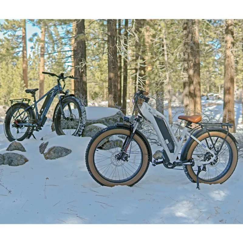 DWMeigi Pegasus Fat Tire Electric Bike, 48V/16Ah, 750W
