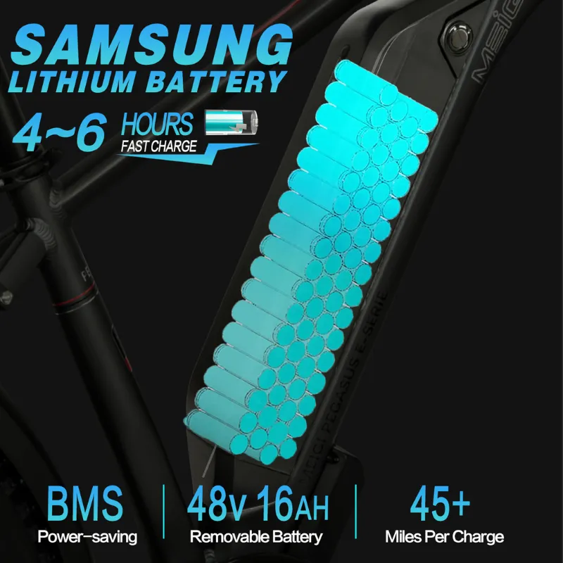 DWMeigi Pegasus Fat Tire Electric Bike, 48V/16Ah, 750W