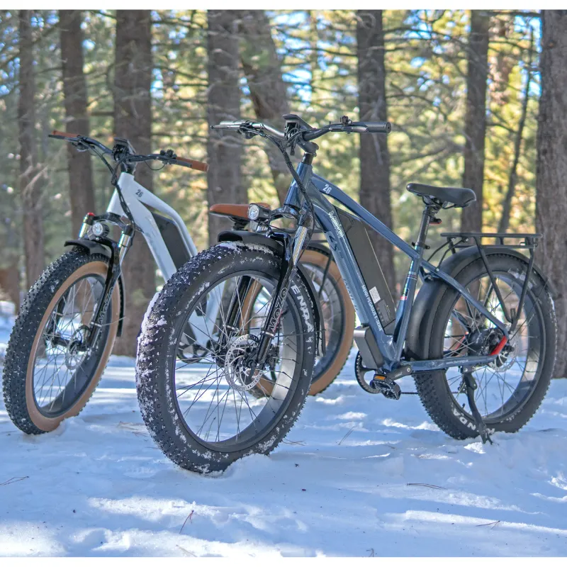 DWMeigi Pegasus Fat Tire Electric Bike, 48V/16Ah, 750W