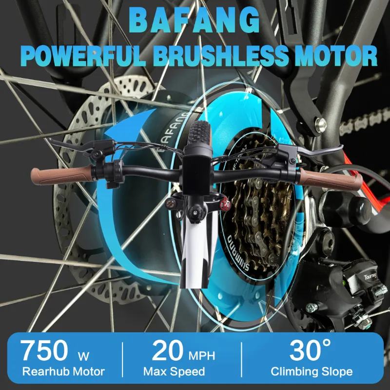 DWMeigi Pegasus Fat Tire Electric Bike, 48V/16Ah, 750W