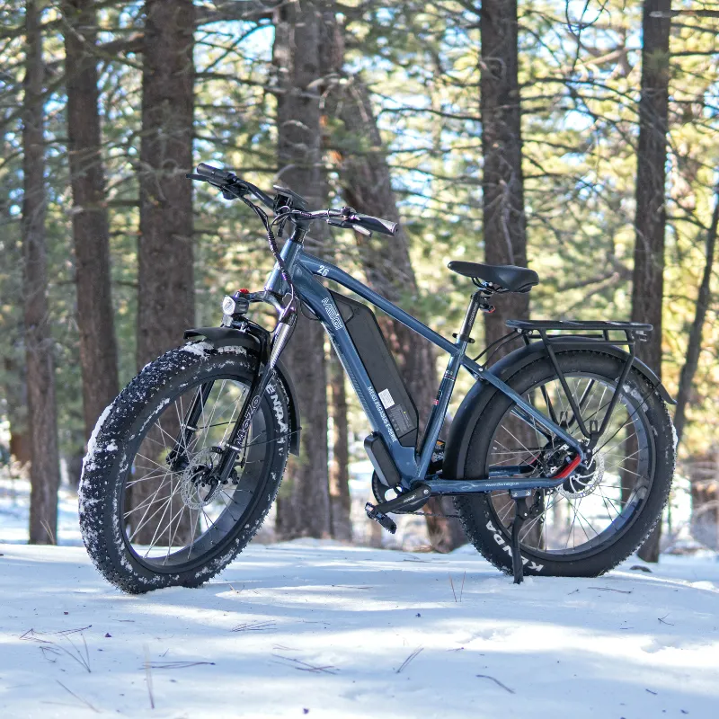DWMeigi Pegasus Fat Tire Electric Bike, 48V/16Ah, 750W