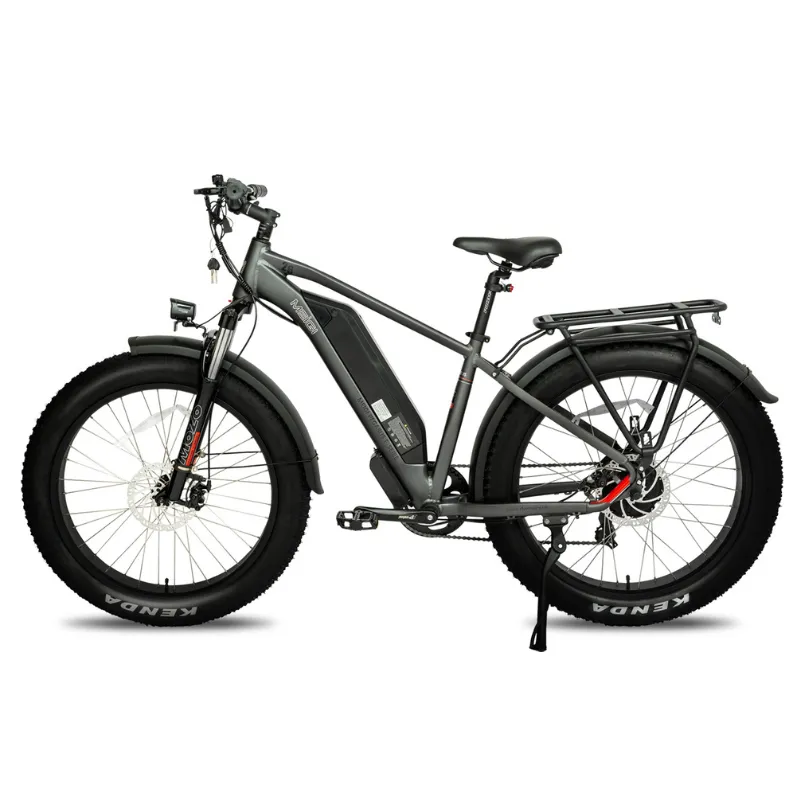 DWMeigi Pegasus Fat Tire Electric Bike, 48V/16Ah, 750W