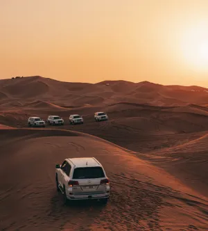 Morning Desert Adventure with Camel Ride & Sandboarding - Al Khayma Camp
