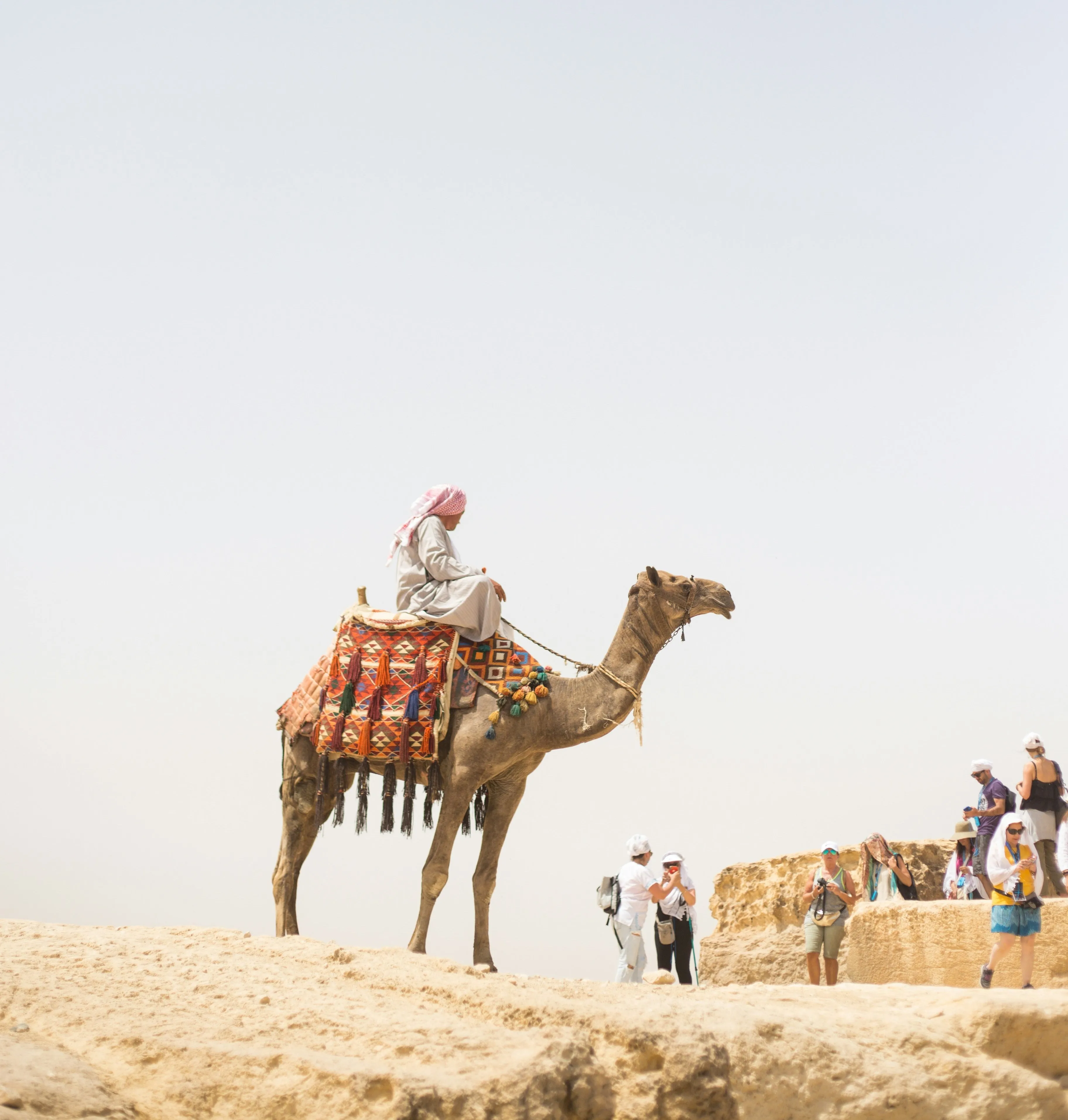 Morning Desert Adventure with Camel Ride & Sandboarding - Al Khayma Camp