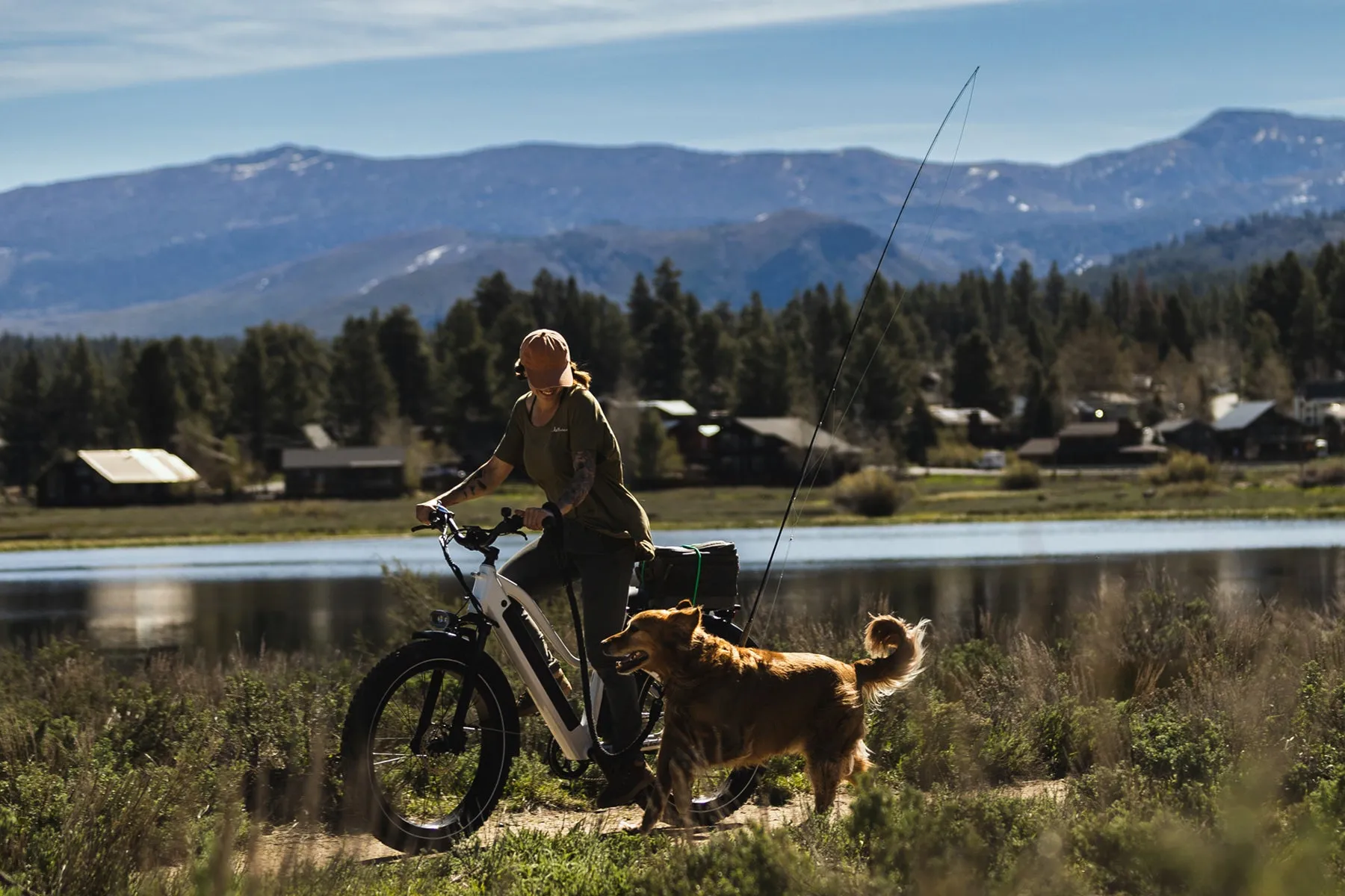 Pioneer Step Through Fat Tire Electric Bike
