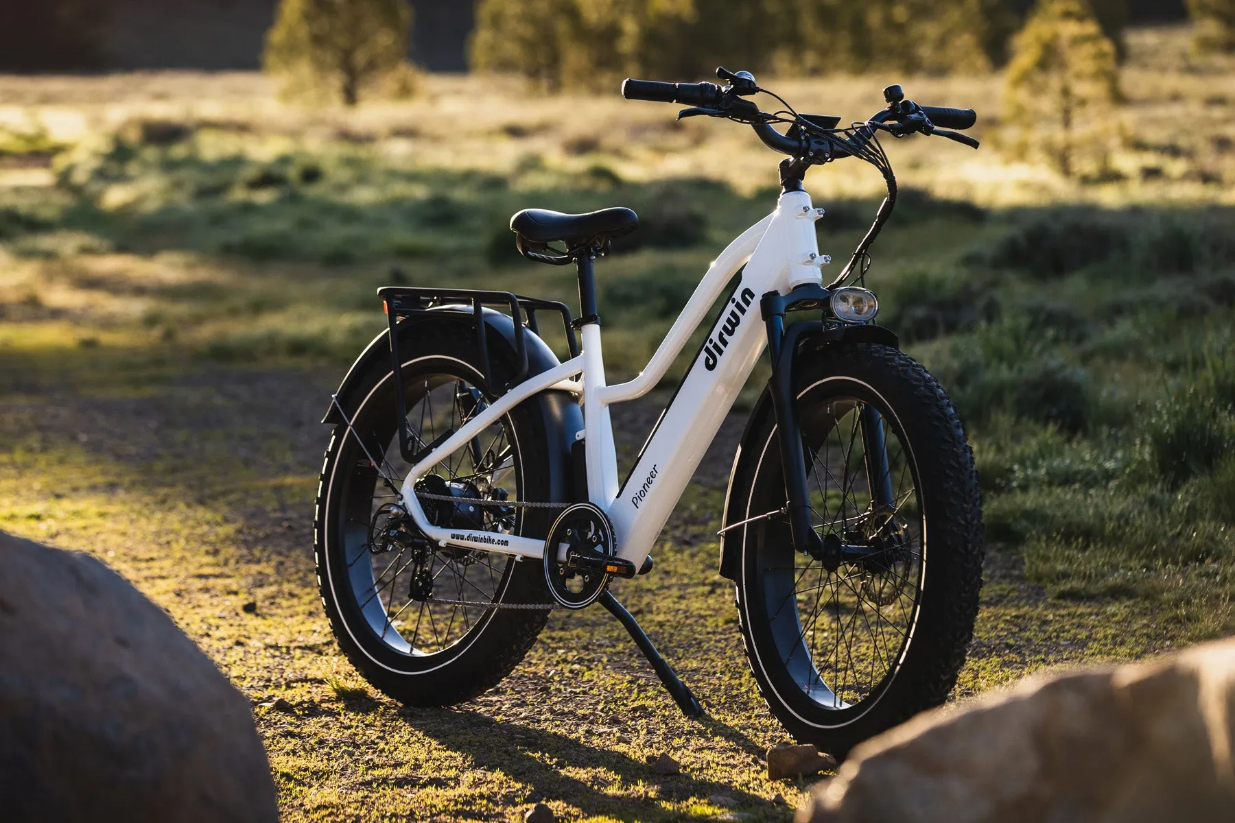 Pioneer Step Through Fat Tire Electric Bike